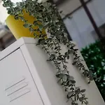 Daisy Appartement *