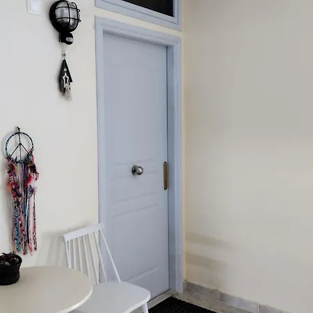 Daisy 纳夫普利翁