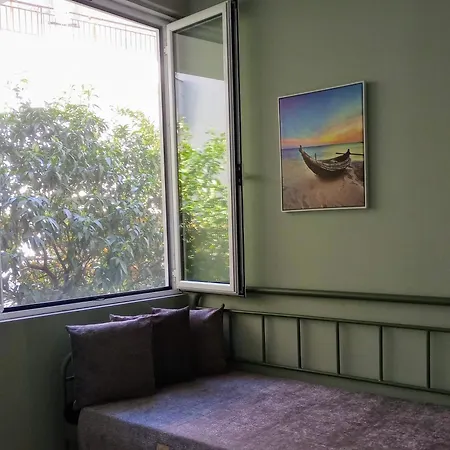 Daisy * 纳夫普利翁