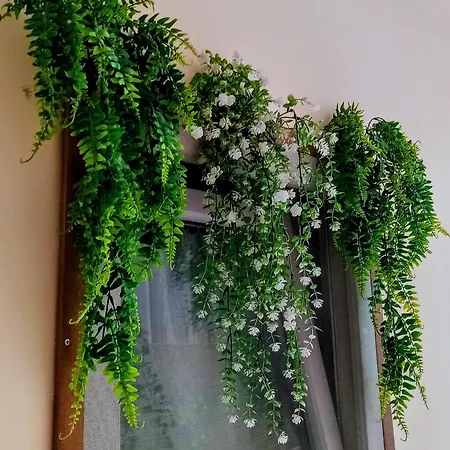 Daisy Apartment *