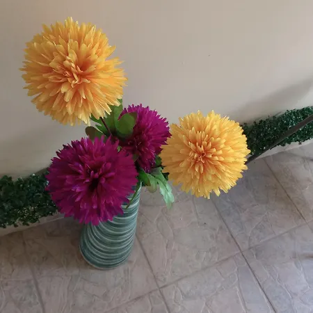 Daisy Apartment *