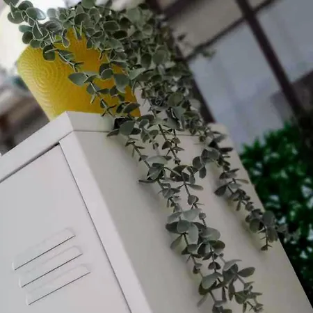 Daisy Apartment *