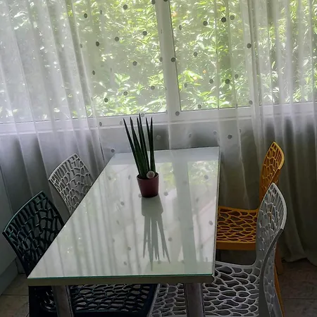 Daisy Apartment